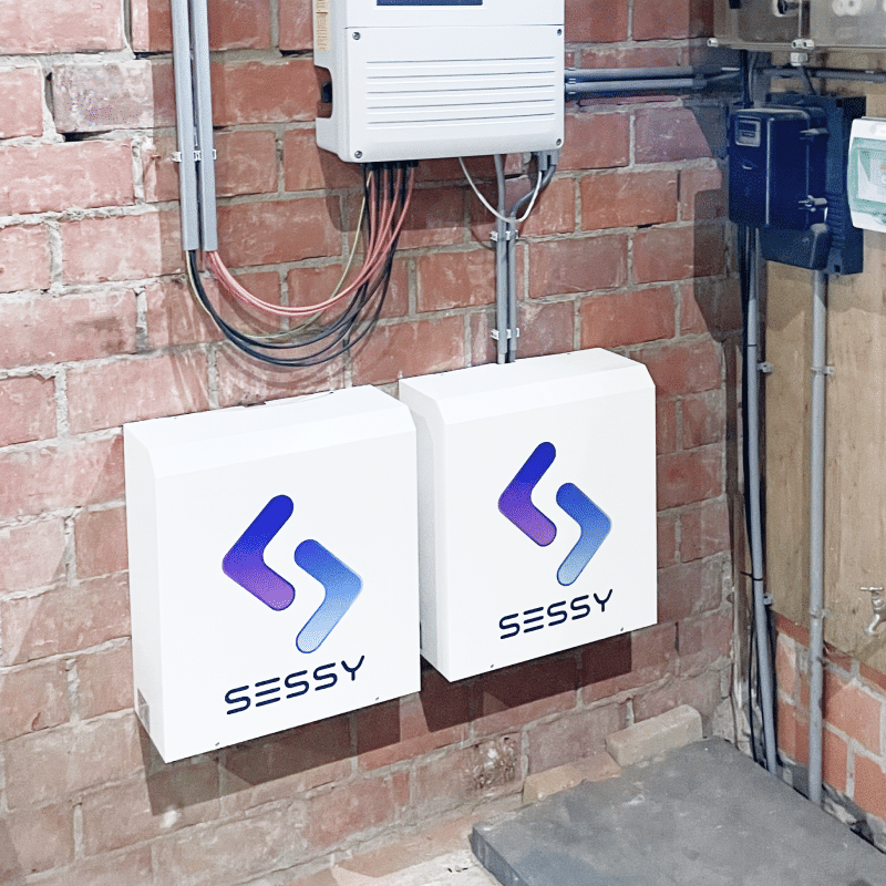 Sessy-geplaatst-4